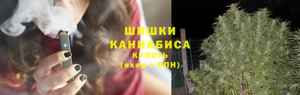 гидра Покров