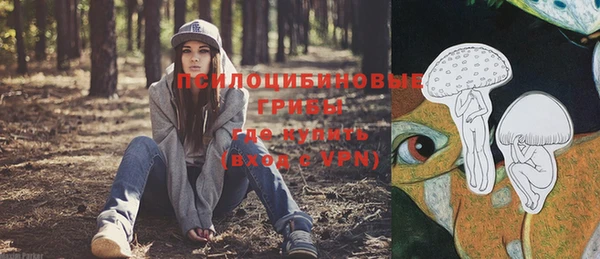 гидра Покров
