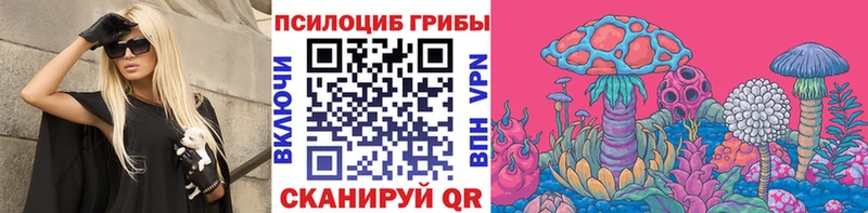 Псилоцибиновые грибы Psilocybine cubensis  цена наркотик  darknet формула  Новоалтайск 
